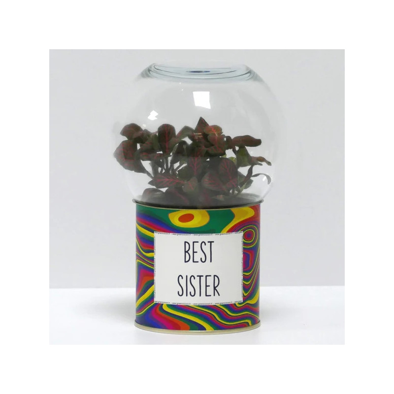 Terrarium déco Best sister