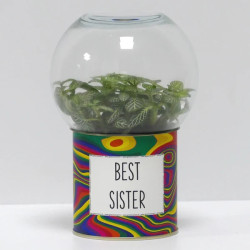 Terrarium déco Best sister