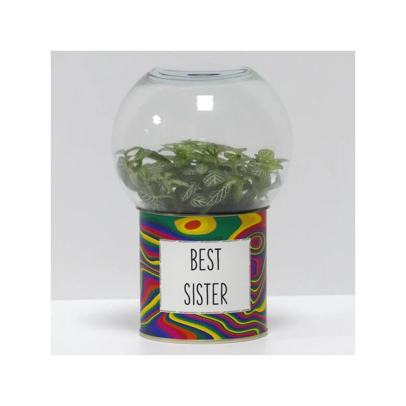 Terrarium déco Best sister