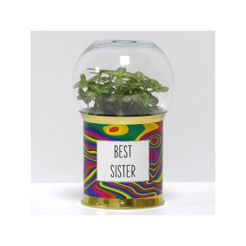 Terrarium déco Best sister