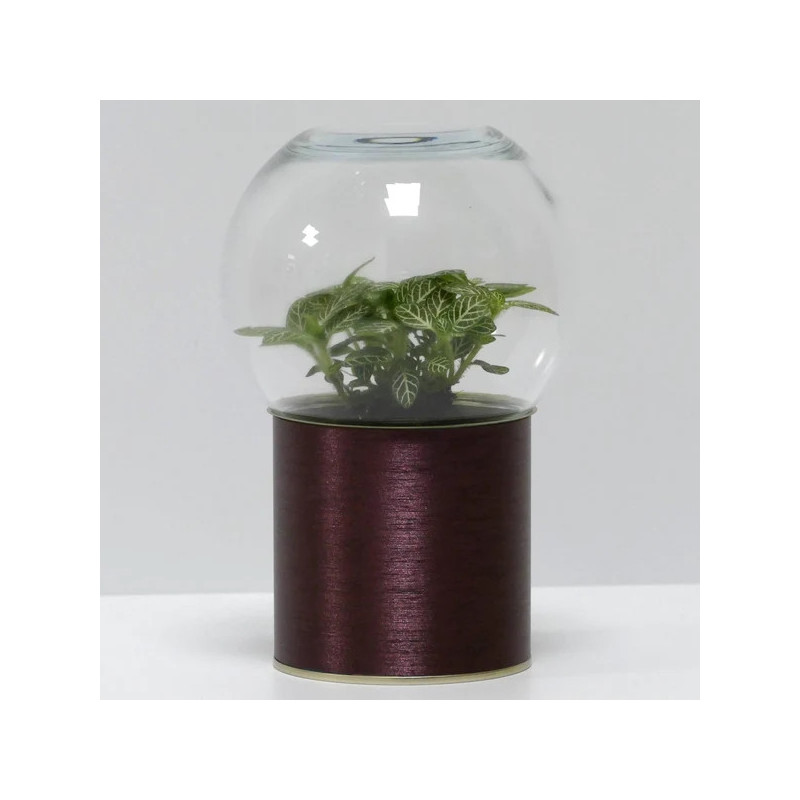 Terrarium déco cuivre brossé