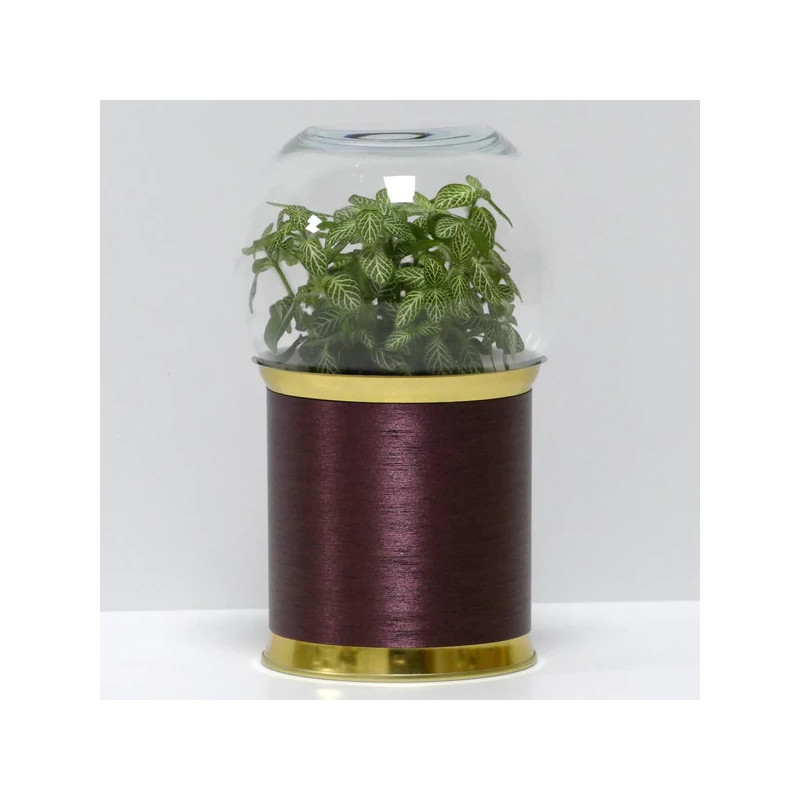 Terrarium déco cuivre brossé