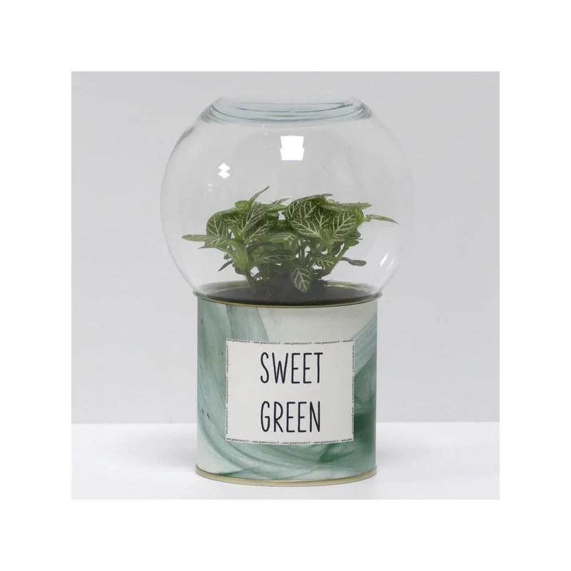 Terrarium déco Sweet green