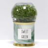 Terrarium Sweet green
