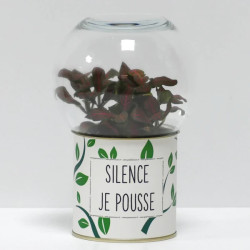 Terrarium déco Silence je pousse