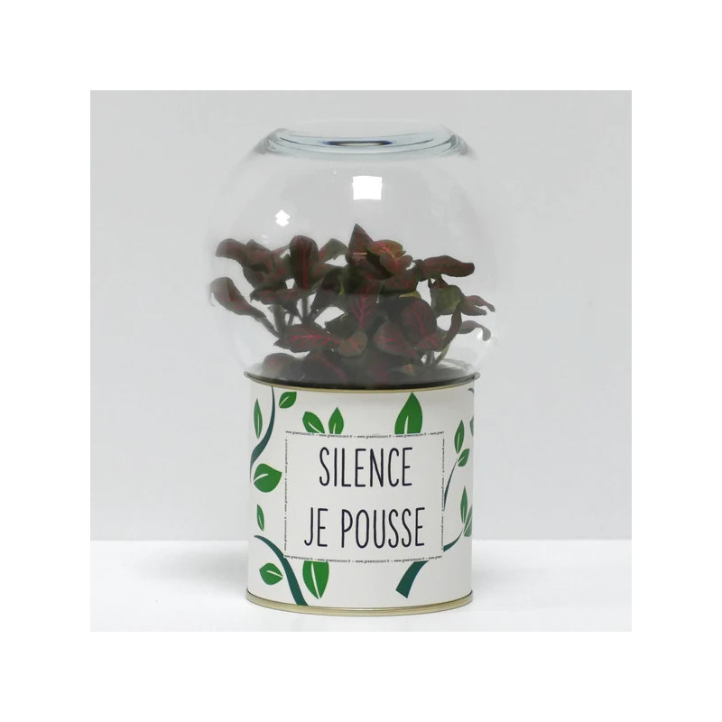 Terrarium déco Silence je pousse