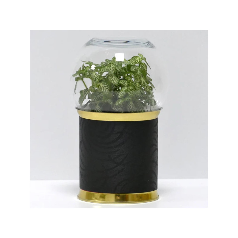 Terrarium déco motifs noirs