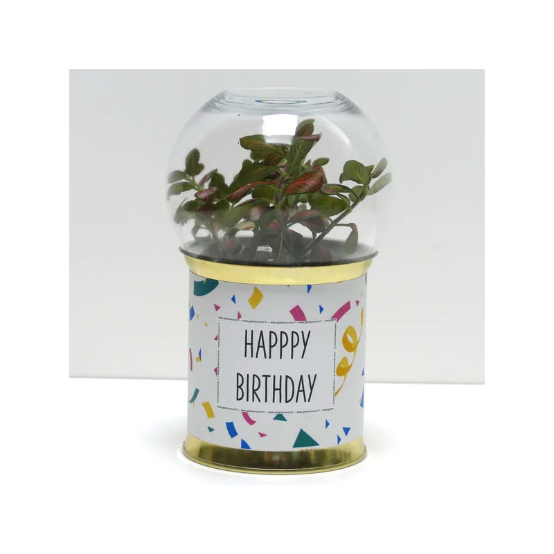 Terrarium déco Happy birthday