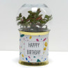 Terrarium déco Happy birthday