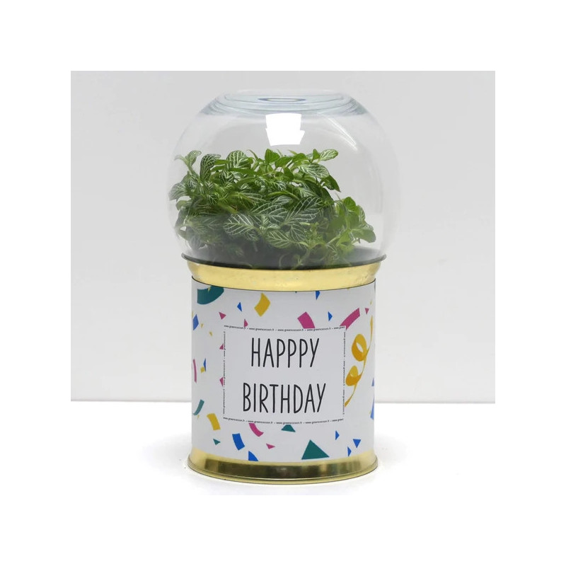 Terrarium déco Happy birthday