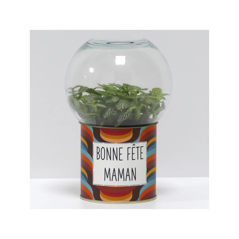 Terrarium déco Bonne fête maman