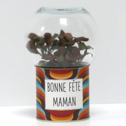 Terrarium déco Bonne fête maman