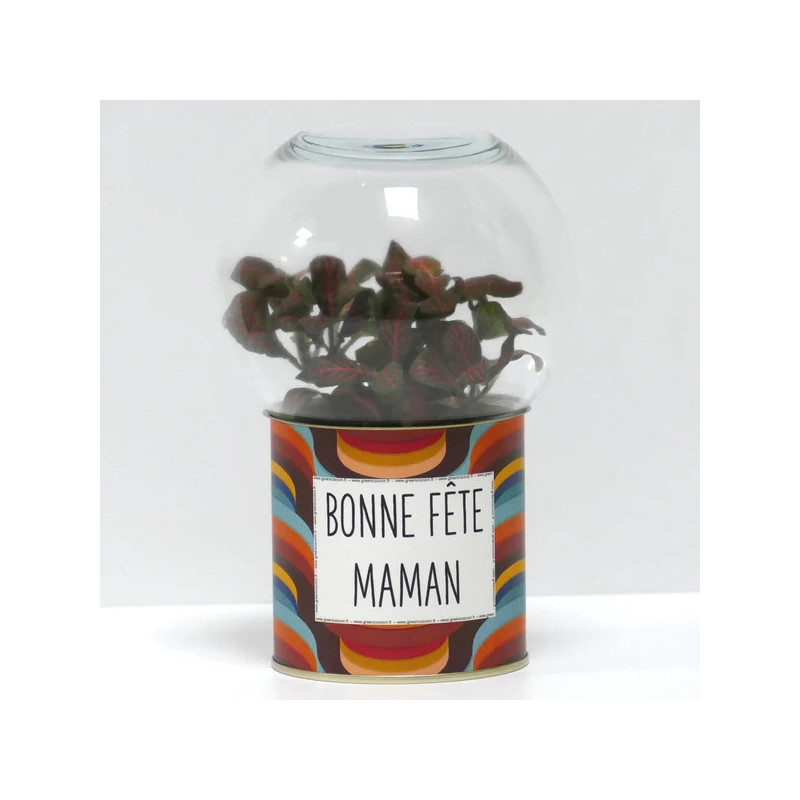 Terrarium déco Bonne fête maman