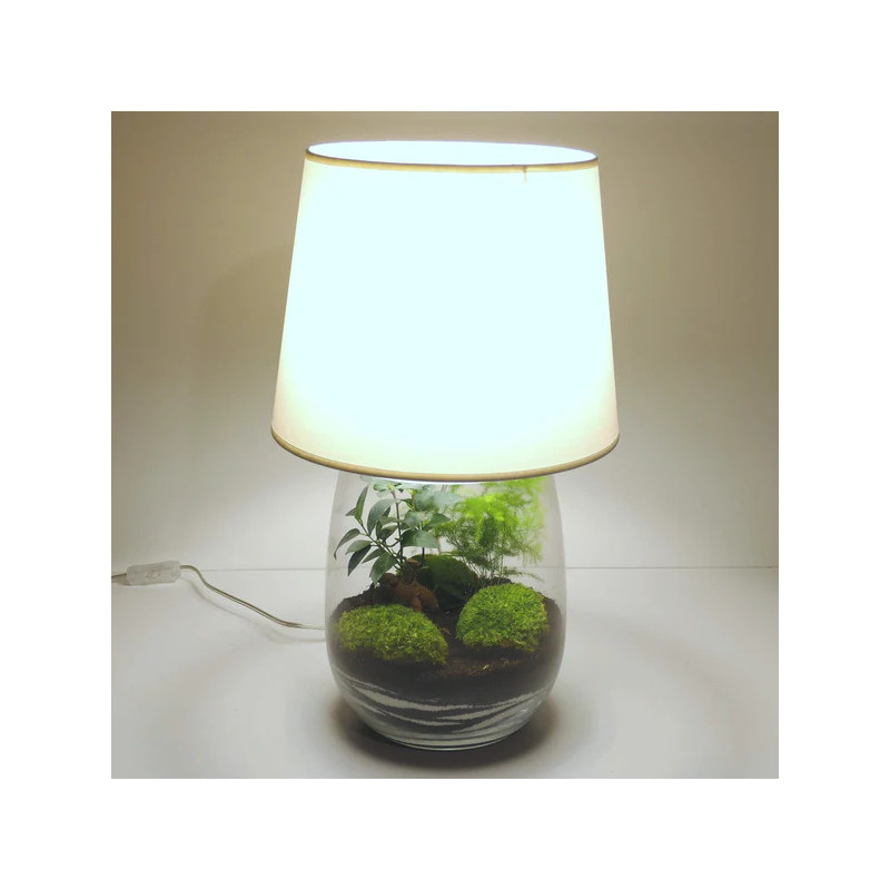 Lampe déco terrarium vase allongé L