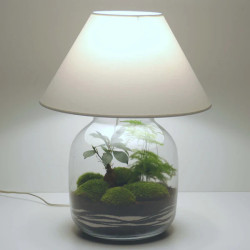 Lampe déco terrarium vase bonbonne XL