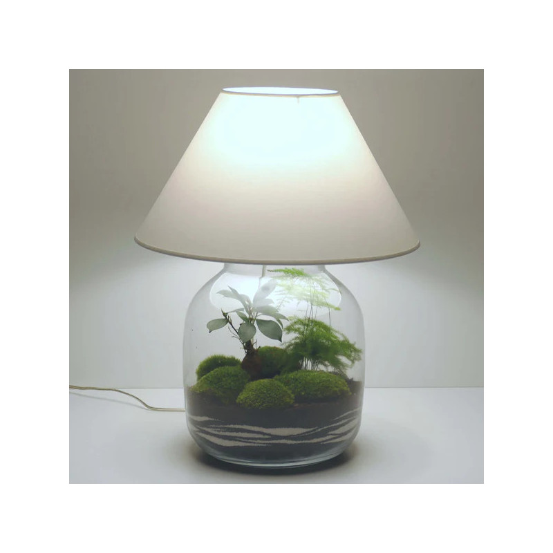 Lampe déco terrarium vase bonbonne XL