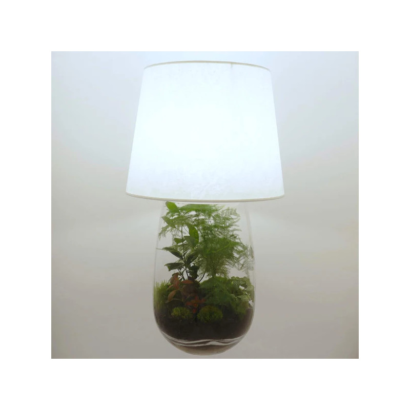 Lampe déco terrarium vase allongé XXL