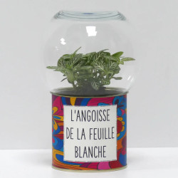 Terrarium déco L'angoisse de la feuille blanche