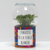 Terrarium déco L'angoisse de la feuille blanche