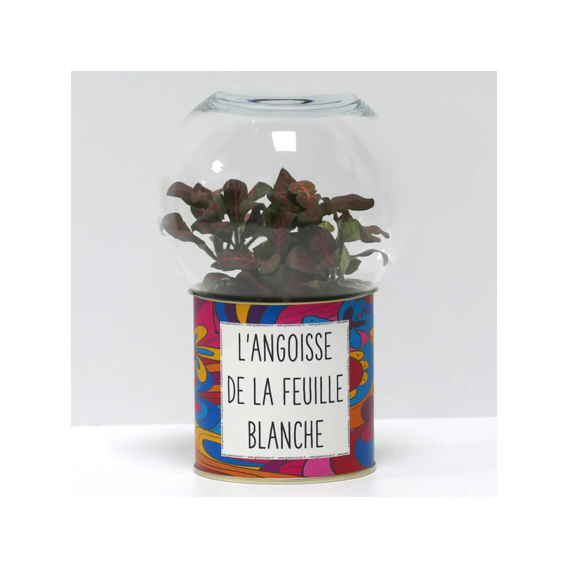 Terrarium déco L'angoisse de la feuille blanche