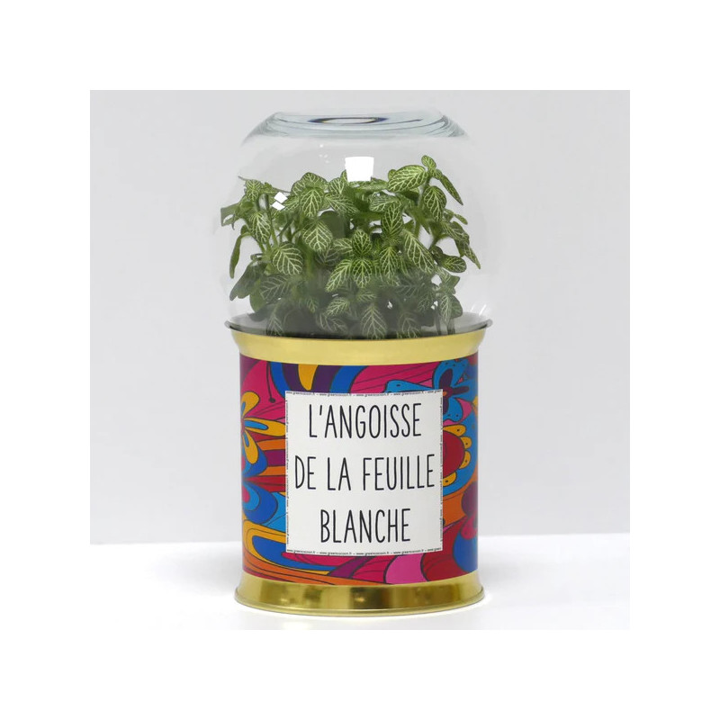 Terrarium déco L'angoisse de la feuille blanche