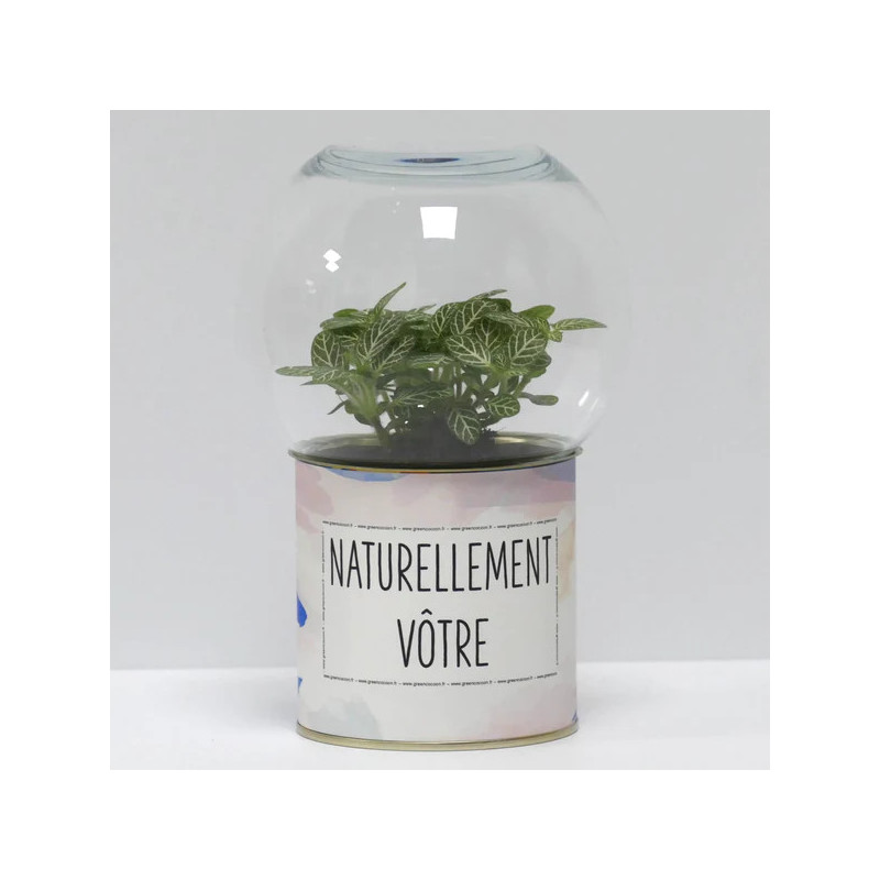 Terrarium déco Naturellement vôtre