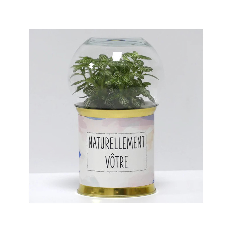 Terrarium déco Naturellement vôtre