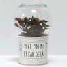 Terrarium déco Vert l'infini et eau de là
