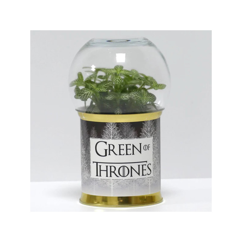 Terrarium déco Green of Thrones