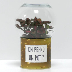 Terrarium déco On prend un pot ?