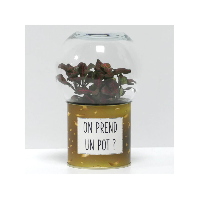 Terrarium déco On prend un pot ?