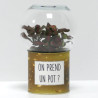 Terrarium déco On prend un pot ?