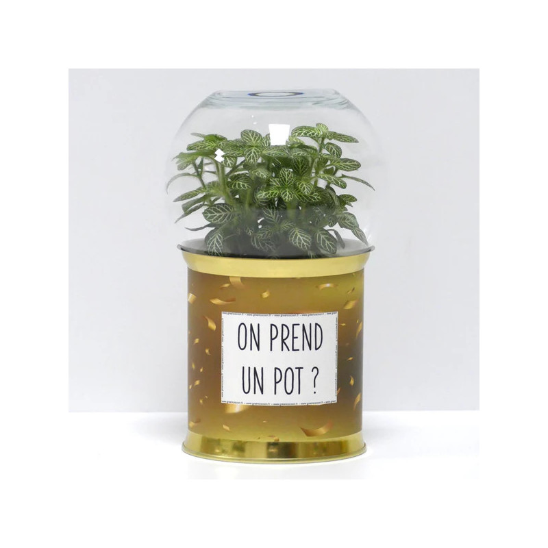 Terrarium déco On prend un pot ?