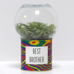 Terrarium déco Best brother