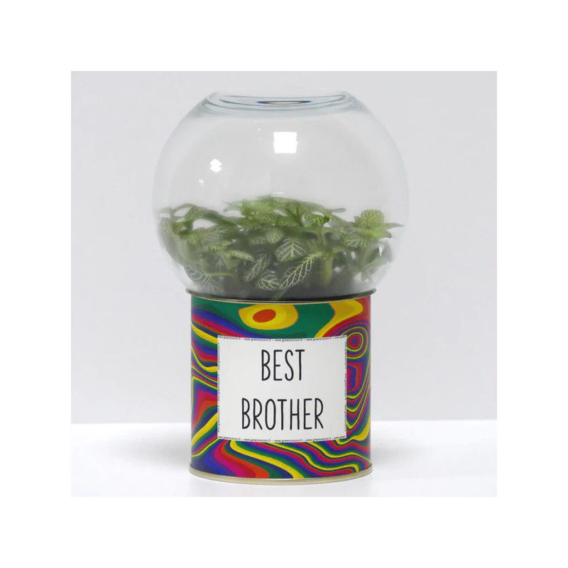 Terrarium déco Best brother