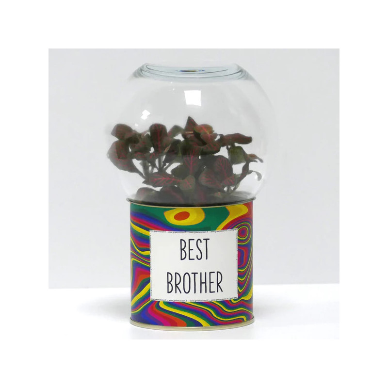 Terrarium déco Best brother