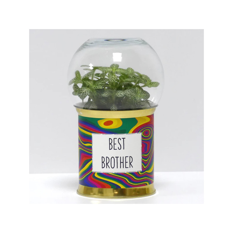 Terrarium déco Best brother