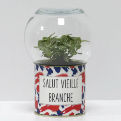 Terrarium déco Salut vieille branche