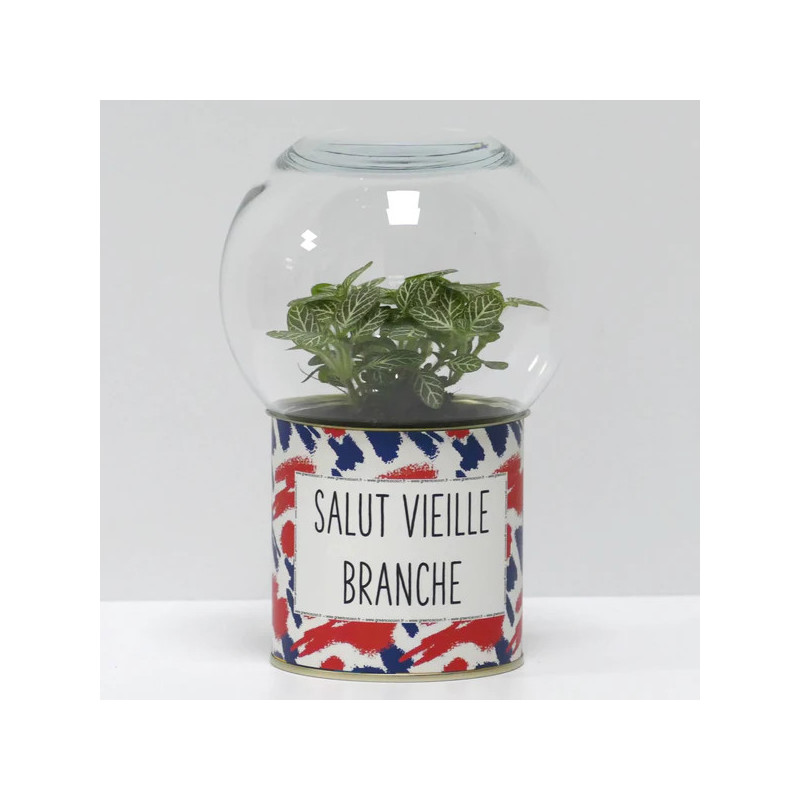 Terrarium déco Salut vieille branche