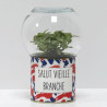 Terrarium déco Salut vieille branche