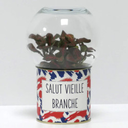 Terrarium déco Salut vieille branche