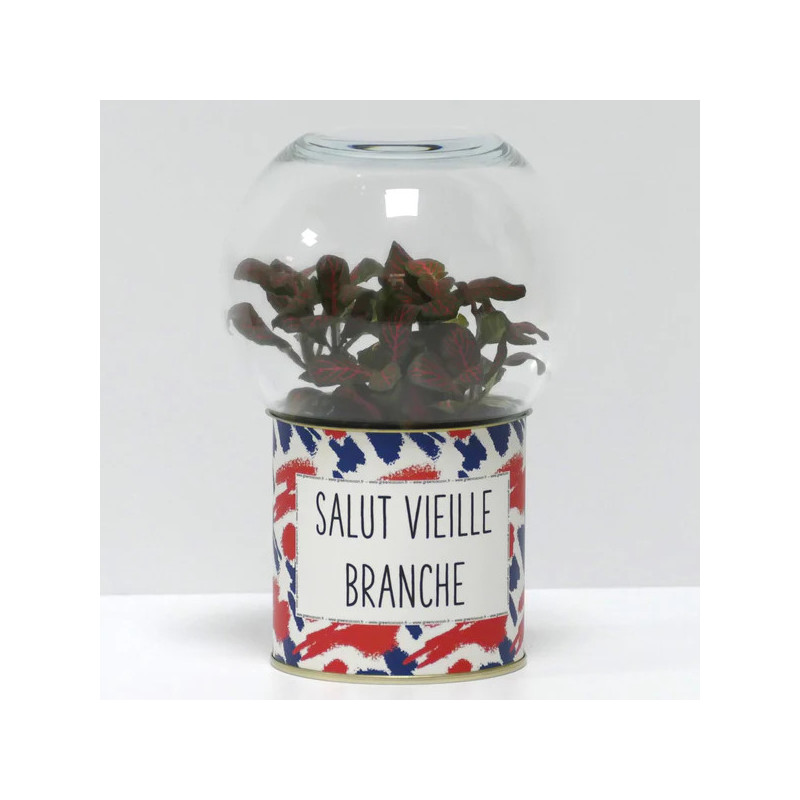 Terrarium déco Salut vieille branche