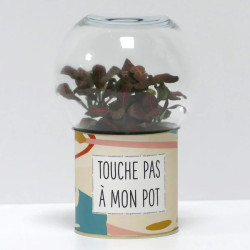 Terrarium déco Touche pas à mon pot