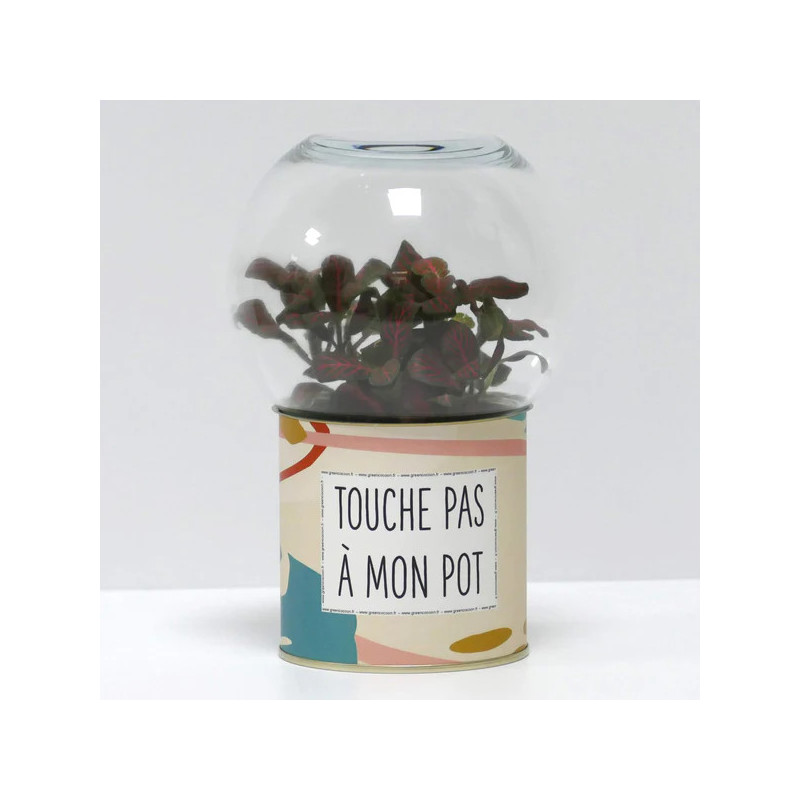 Terrarium déco Touche pas à mon pot