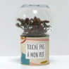 Terrarium déco Touche pas à mon pot