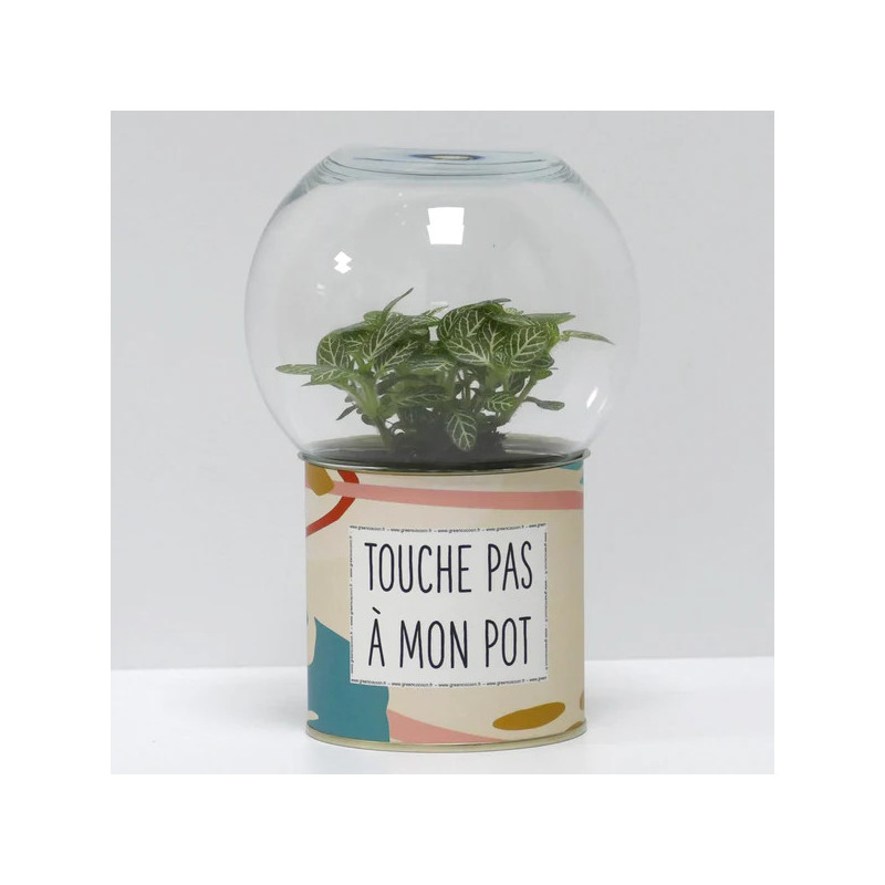 Terrarium déco Touche pas à mon pot