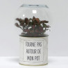 Terrarium déco Tourne pas autour de mon pot