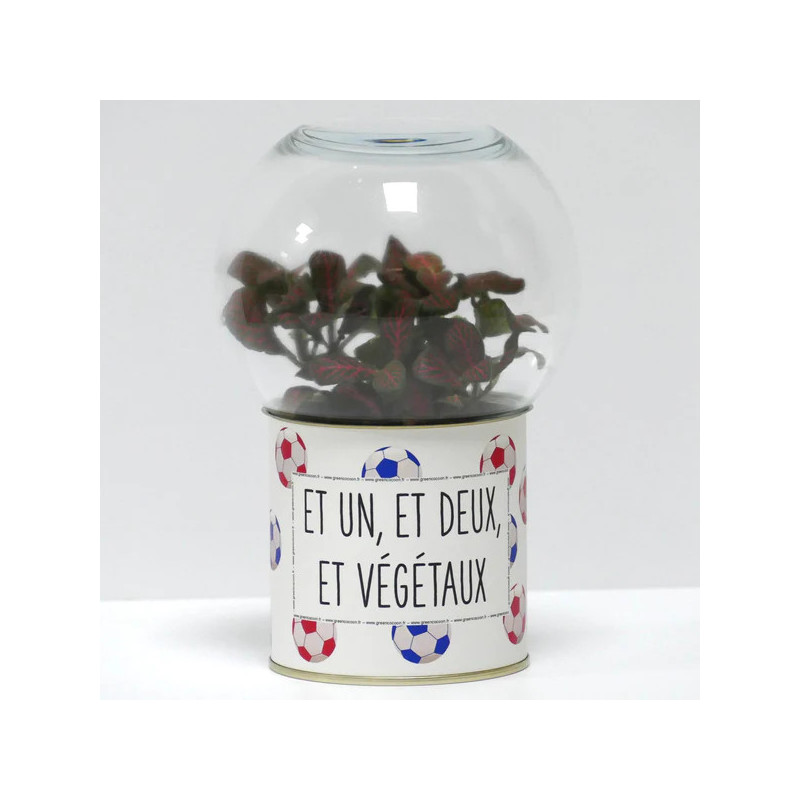 Terrarium déco Et un, et deux, et végétaux