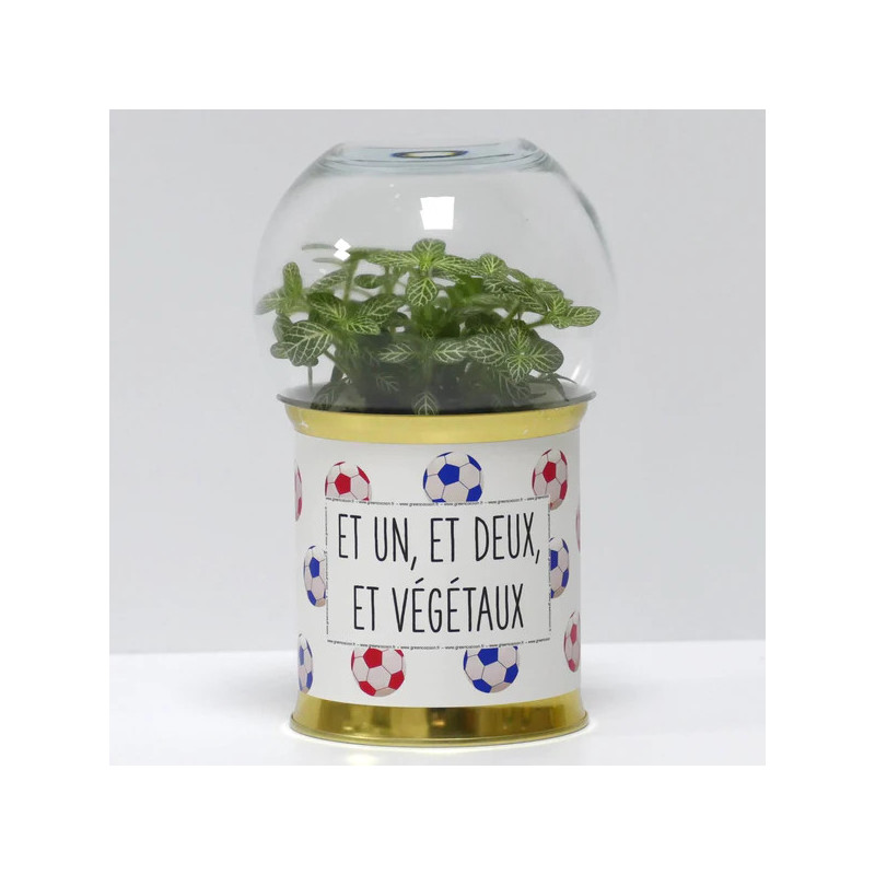 Terrarium déco Et un, et deux, et végétaux