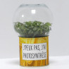 Terrarium déco J'peux pas j'ai photosynthèse